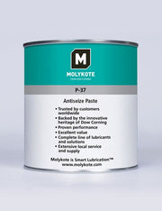 Molykote P-37 - 500g